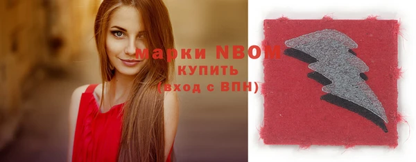 шишки Вязники