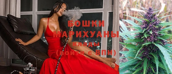 шишки Вязники