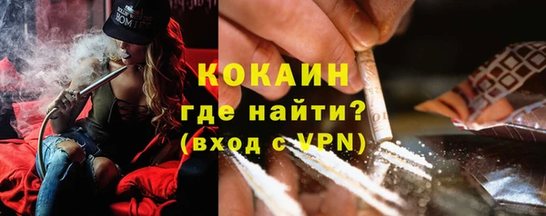 шишки Вязники
