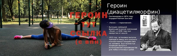 PSILOCYBIN Вяземский