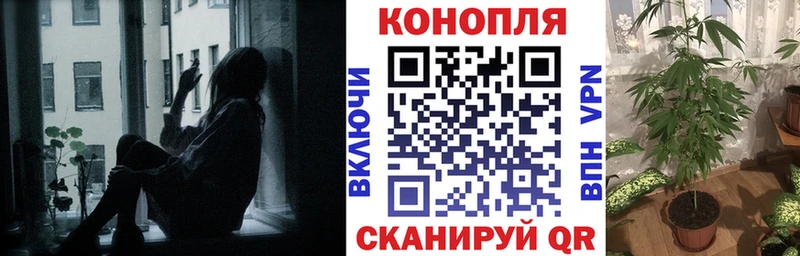 ссылка на мегу вход  Саранск  Каннабис план 